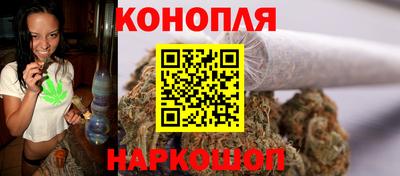 индика Нягань
