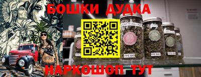 индика Нягань