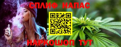 шишки Новозыбков