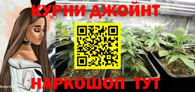 индика Нягань
