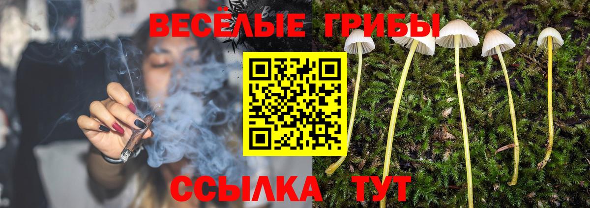 Славянск-на-Кубани  Псилоцибиновые грибы Magic Shrooms  Вход с VPN 
