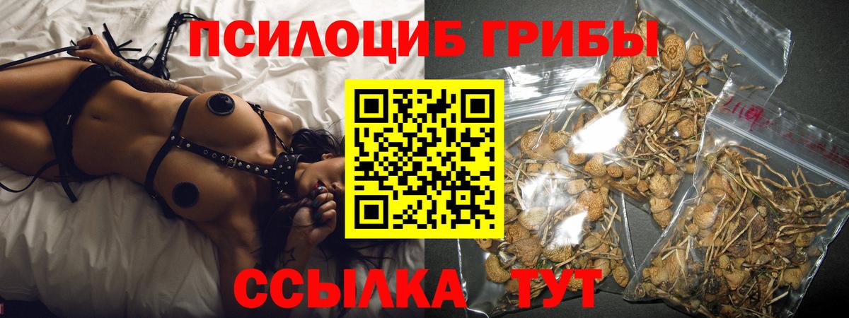 Галлюциногенные грибы Cubensis Славянск-на-Кубани